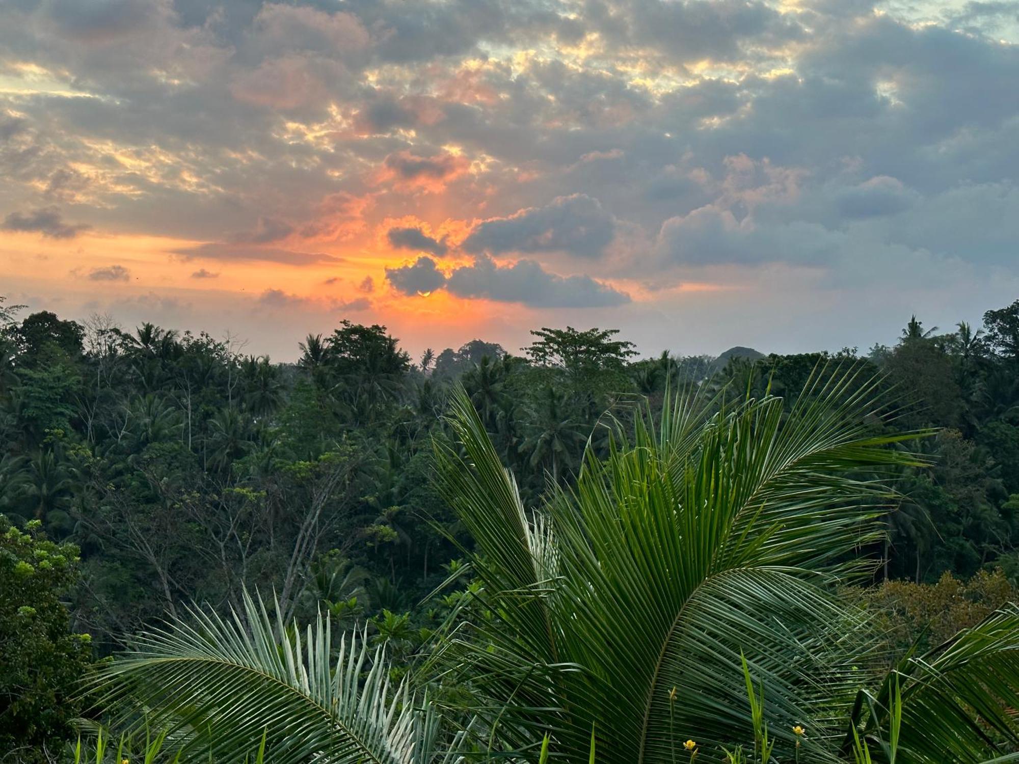Brata Hotel Ubud