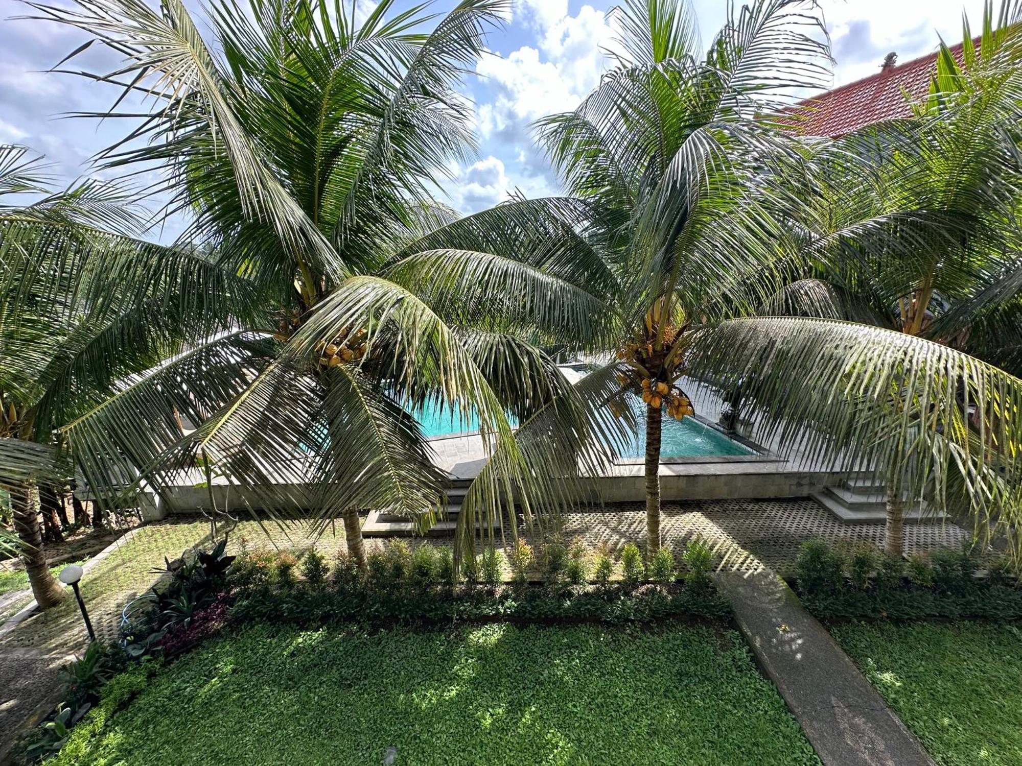 Hotel Brata 2*