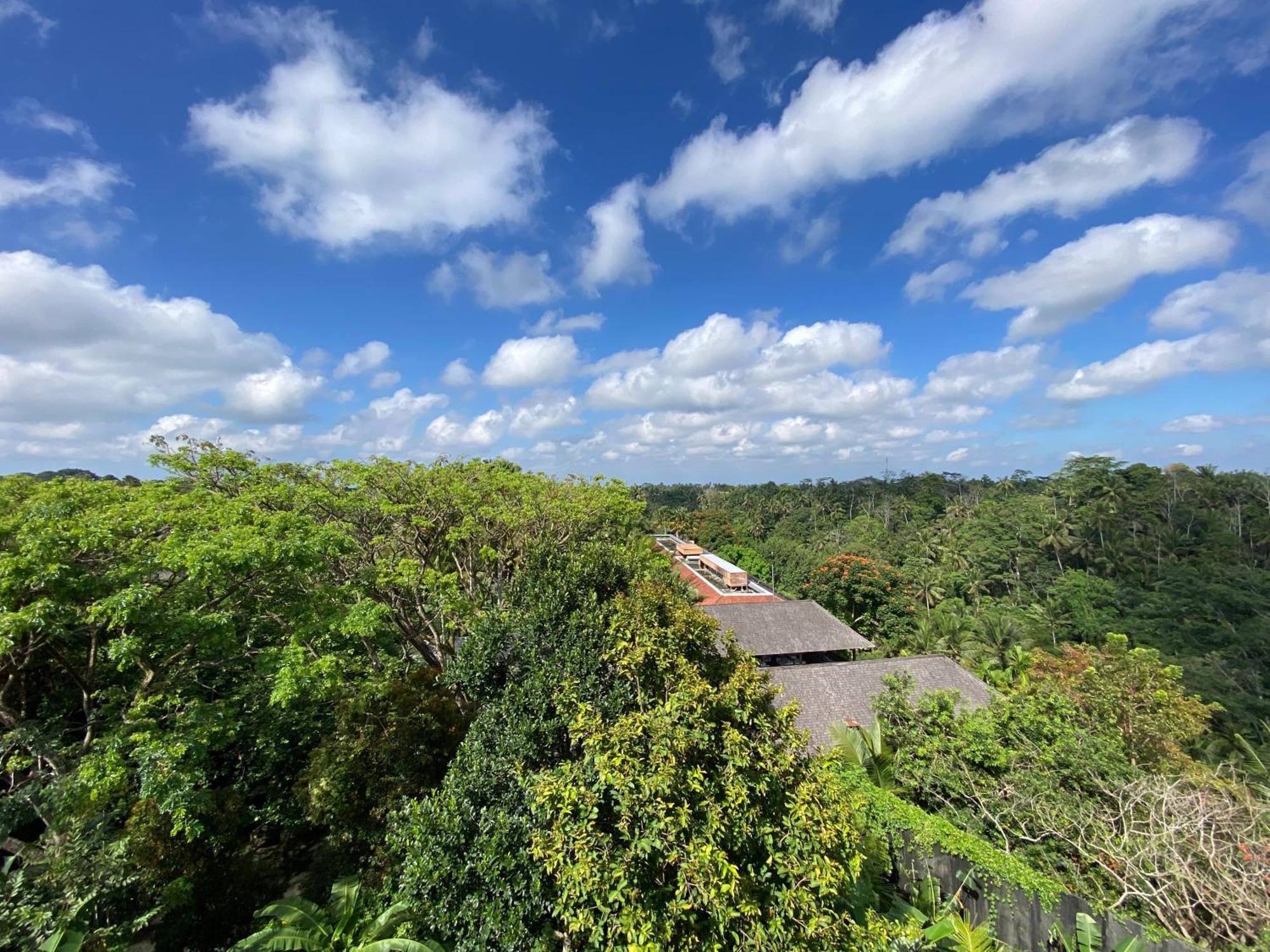 Brata Hotel Ubud